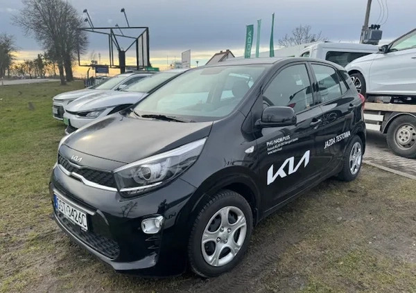 Kia Picanto cena 66900 przebieg: 1500, rok produkcji 2023 z Jastarnia małe 11